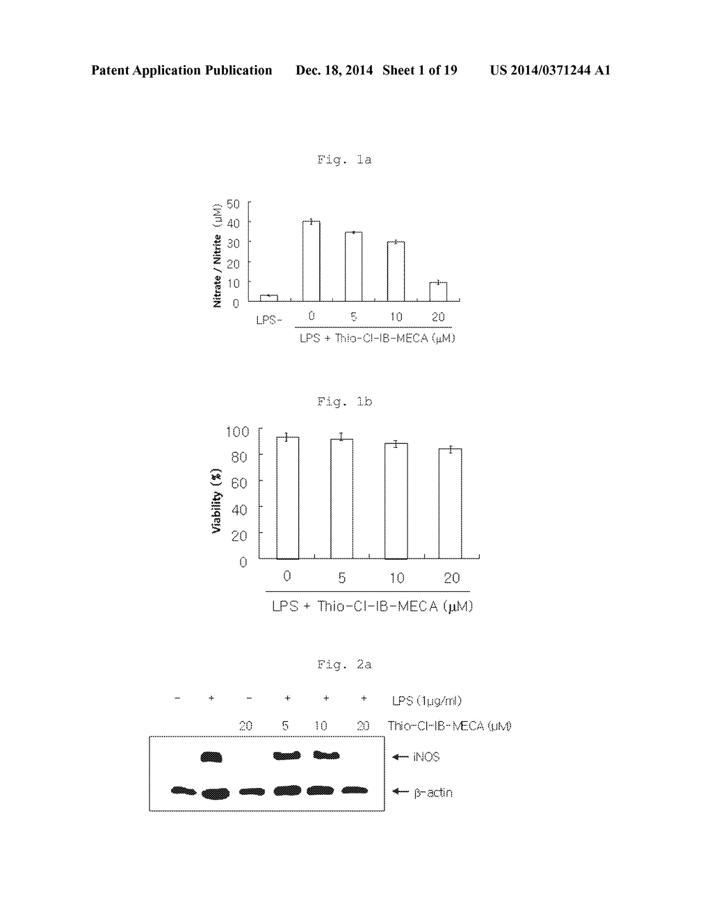 METHOD FOR TREATING PROSTATE CANCER BY USE OF PHARMACEUTICAL COMPOSITION     CONTAINING A3 ADENOSINE RECEPTOR AGONIST - diagram, schematic, and image 02