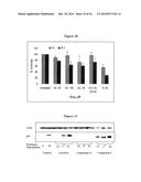 NOVEL DERIVATIVES OF PURINIC AND PYRIMIDINIC ANTIVIRAL AGENTS AND USE     THEREOF AS POTENT ANTICANCER AGENTS diagram and image