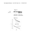 NOVEL DERIVATIVES OF PURINIC AND PYRIMIDINIC ANTIVIRAL AGENTS AND USE     THEREOF AS POTENT ANTICANCER AGENTS diagram and image