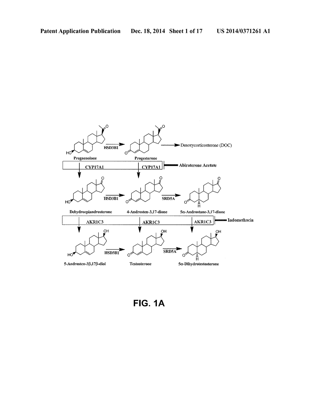 INDOMETHACIN ANALOGS FOR THE TREATMENT OF CASTRATE-RESISTANT PROSTATE     CANCER - diagram, schematic, and image 02