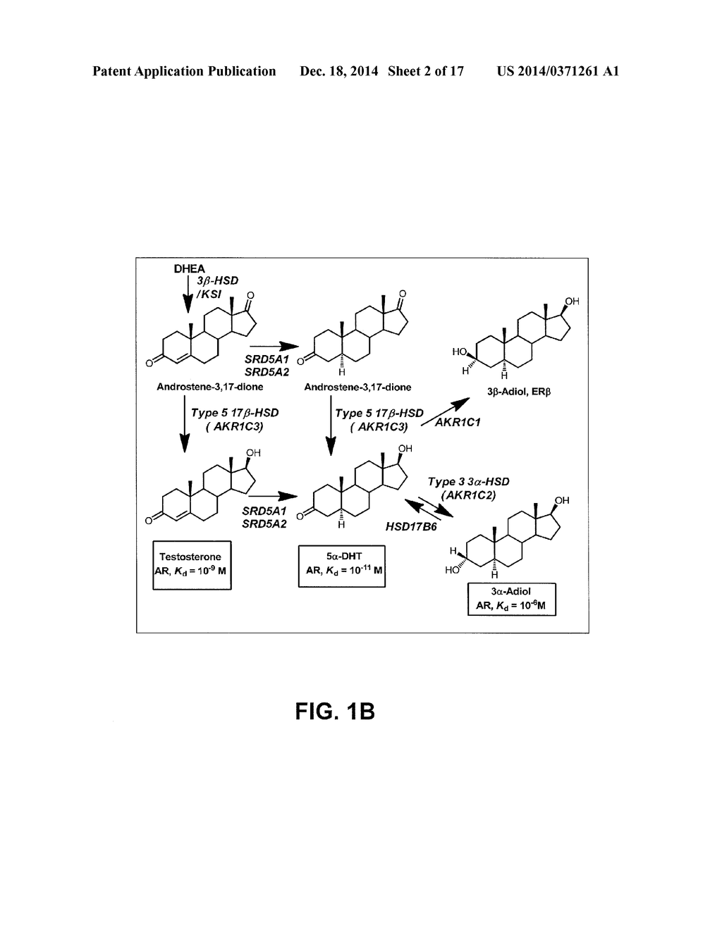 INDOMETHACIN ANALOGS FOR THE TREATMENT OF CASTRATE-RESISTANT PROSTATE     CANCER - diagram, schematic, and image 03