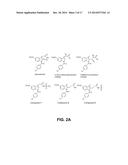 INDOMETHACIN ANALOGS FOR THE TREATMENT OF CASTRATE-RESISTANT PROSTATE     CANCER diagram and image