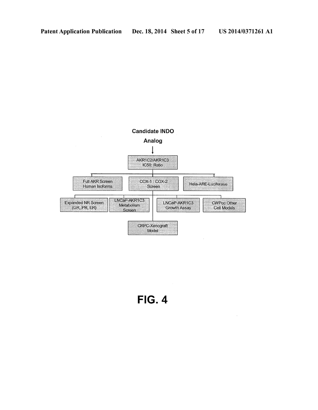 INDOMETHACIN ANALOGS FOR THE TREATMENT OF CASTRATE-RESISTANT PROSTATE     CANCER - diagram, schematic, and image 06