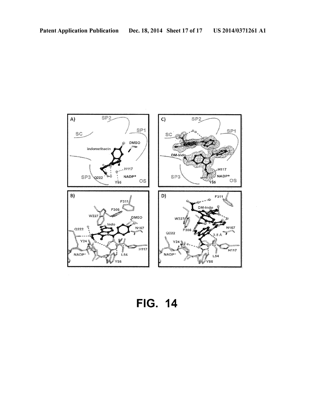 INDOMETHACIN ANALOGS FOR THE TREATMENT OF CASTRATE-RESISTANT PROSTATE     CANCER - diagram, schematic, and image 18