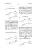 Mono Quaternary Ammonium Salts and Methods for Modulating Neuronal     Nicotinic Acetylcholine Receptors diagram and image