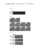 PHARMACEUTICAL COMPOSITION FOR TREATING CANCER diagram and image