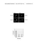 Cyclohexane-1,3-Diones for Use in the Treatment of Amyotrophic Lateral     Sclerosis diagram and image