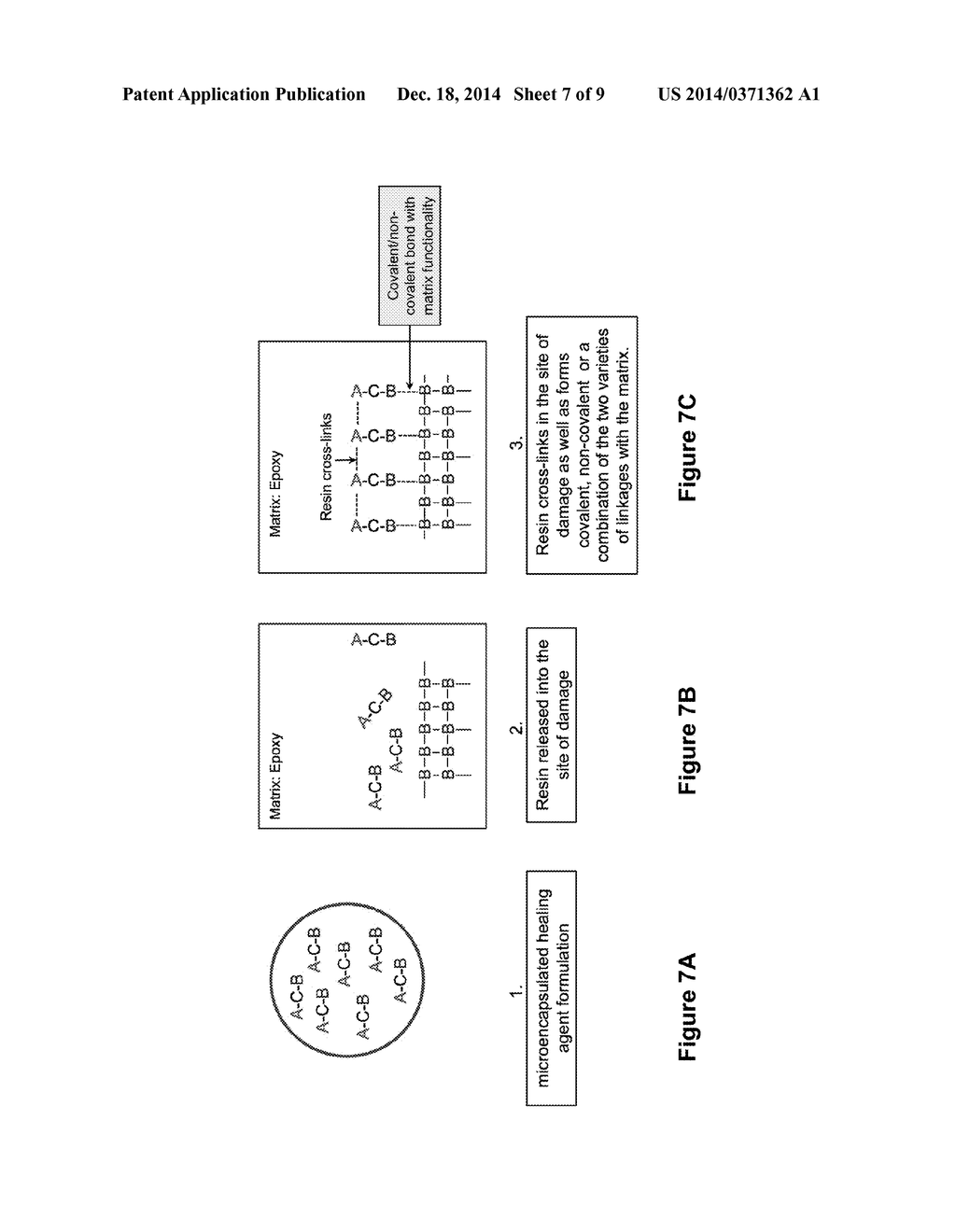 SELF-HEALING POLYMERIC MATERIALS VIA UNSATURATED POLYESTER RESIN CHEMISTRY - diagram, schematic, and image 08