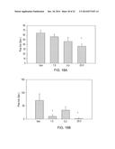 1-[2-(2,4-Dimethylphenylsulfanyl)-Phenyl]Piperazine As A Compound With     Combined Serotonin Reuptake, 5-HT3 And 5-HT1a Activity For The Treatment     Of Cognitive Impairment diagram and image