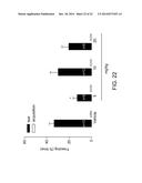 1-[2-(2,4-Dimethylphenylsulfanyl)-Phenyl]Piperazine As A Compound With     Combined Serotonin Reuptake, 5-HT3 And 5-HT1a Activity For The Treatment     Of Cognitive Impairment diagram and image