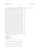 PRODUCTION OF DIHYDROSTERCULIC ACID AND DERIVATIVES THEREOF diagram and image