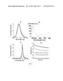 Persistent Luminescence Nanoparticles Excitable in situ for in vivo     Optical Imaging, in vivo Multimodal Optical-MRI Imaging, and Theranostics diagram and image