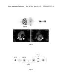 Persistent Luminescence Nanoparticles Excitable in situ for in vivo     Optical Imaging, in vivo Multimodal Optical-MRI Imaging, and Theranostics diagram and image