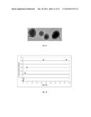 Persistent Luminescence Nanoparticles Excitable in situ for in vivo     Optical Imaging, in vivo Multimodal Optical-MRI Imaging, and Theranostics diagram and image