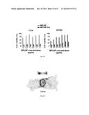 Persistent Luminescence Nanoparticles Excitable in situ for in vivo     Optical Imaging, in vivo Multimodal Optical-MRI Imaging, and Theranostics diagram and image