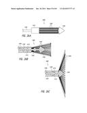 IMPLANTABLE LUMINAL DEVICES diagram and image