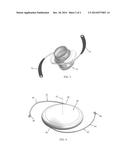 HAPTICS FOR INTRAOCULAR DEVICES diagram and image