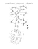 METHODS OF VIEWING AND ANALYZING HIGH CONTENT BIOLOGICAL DATA diagram and image