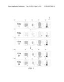 METHOD FOR AUTOMATICALLY DETECTING AND REPAIRING BIOMETRIC CROSSLINKS diagram and image