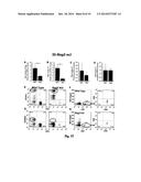 FUMARYLACETOACETATE HYDROLASE (FAH)-DEFICIENT AND IMMUNODEFICIENT RATS AND     USES THEREOF diagram and image