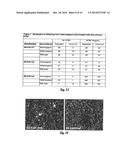 FUMARYLACETOACETATE HYDROLASE (FAH)-DEFICIENT AND IMMUNODEFICIENT RATS AND     USES THEREOF diagram and image