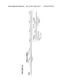 METHOD TO TRIGGER RNA INTERFERENCE diagram and image