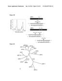 METHOD TO TRIGGER RNA INTERFERENCE diagram and image