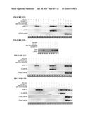 METHOD TO TRIGGER RNA INTERFERENCE diagram and image