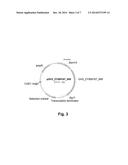 Polypeptides Having Beta-Xylosidase Activity and Polynucleotides Encoding     Same diagram and image