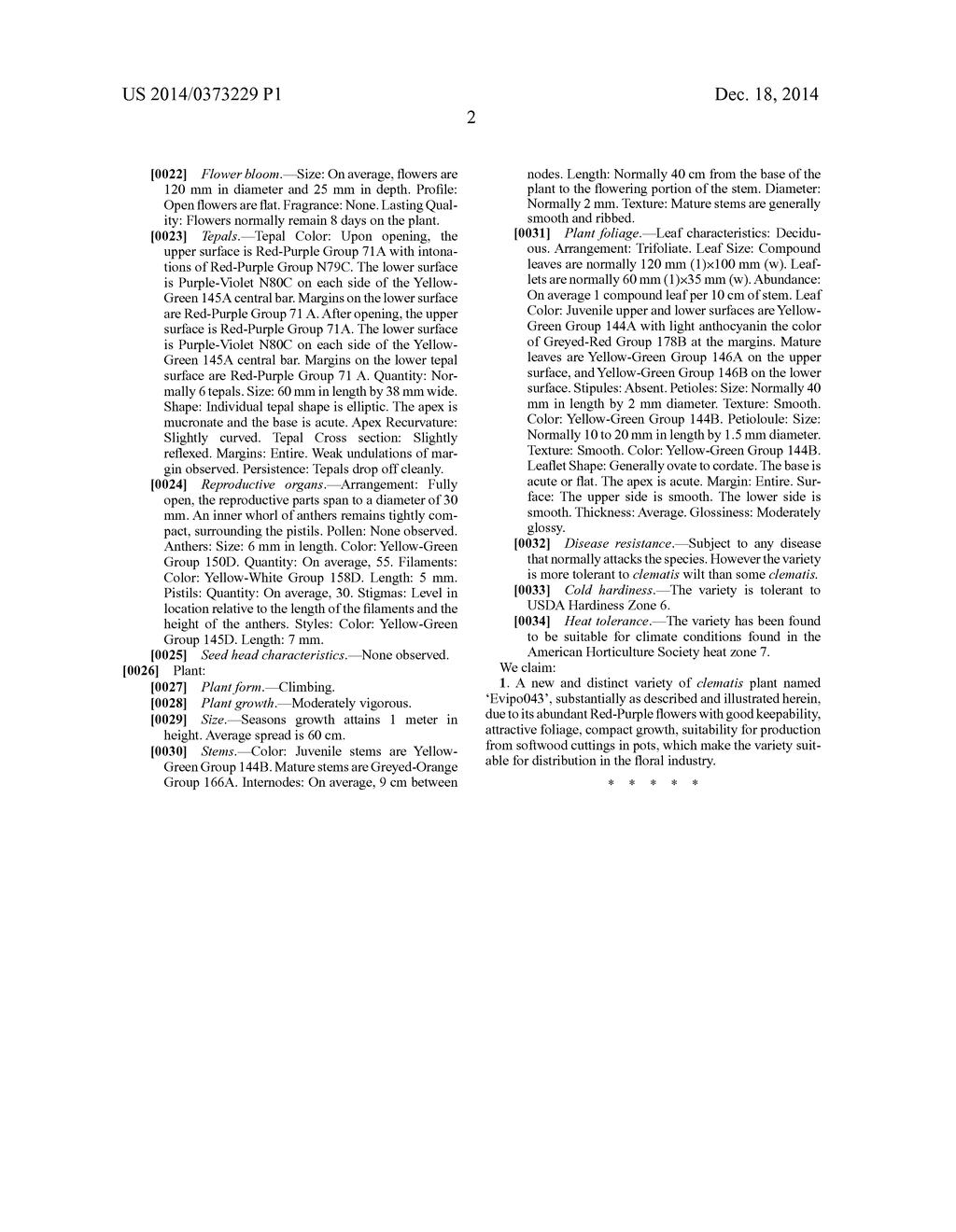 Clematis plant named 'Evipo043' - diagram, schematic, and image 02