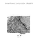 PROCESSING BIOMASS AND PETROLEUM CONTAINING MATERIALS diagram and image