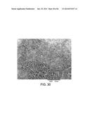 PROCESSING BIOMASS AND PETROLEUM CONTAINING MATERIALS diagram and image