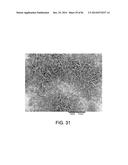 PROCESSING BIOMASS AND PETROLEUM CONTAINING MATERIALS diagram and image