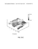 PROCESSING BIOMASS AND PETROLEUM CONTAINING MATERIALS diagram and image