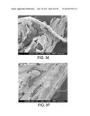 PROCESSING BIOMASS AND PETROLEUM CONTAINING MATERIALS diagram and image