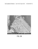 PROCESSING BIOMASS AND PETROLEUM CONTAINING MATERIALS diagram and image