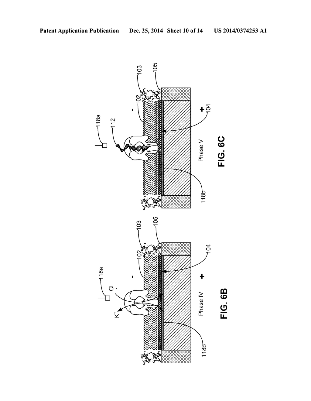 SYSTEMS AND METHODS FOR MANIPULATING A MOLECULE IN A NANOPORE - diagram, schematic, and image 11