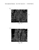 METHOD FOR FORMING A COMPOSITE FILM diagram and image