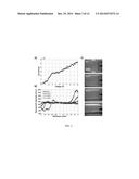 Water Desalination/Purification and Bio-Agent Preconcentration by Ion     Concentration Polarization diagram and image