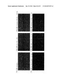 ORGANIC ELECTROLUMINESCENT ELEMENT AND METHOD FOR MANUFACTURING ORGANIC     ELECTROLUMINESCENT ELEMENT diagram and image