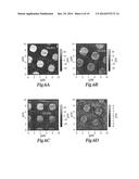 FLEXIBLE MOLECULAR PIEZOELECTRIC DEVICE diagram and image