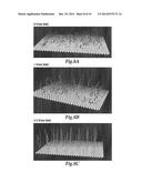 FLEXIBLE MOLECULAR PIEZOELECTRIC DEVICE diagram and image