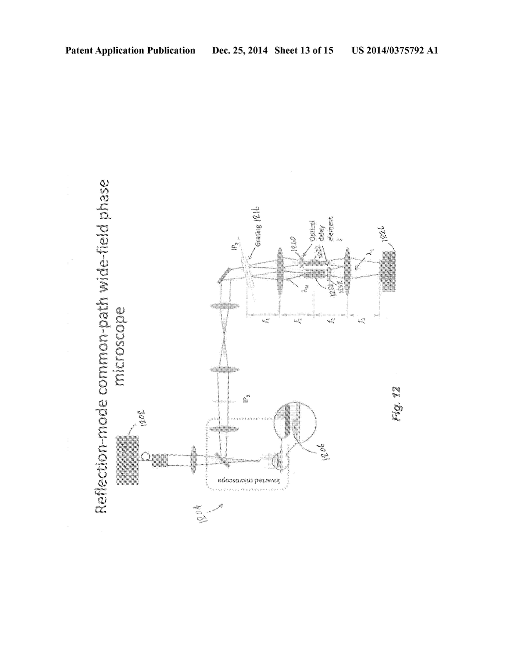 SYSTEMS AND METHODS FOR SELF-REFERENCED QUANTITATIVE PHASE MICROSCOPY - diagram, schematic, and image 14