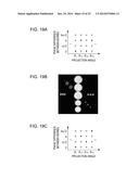 WAVEFRONT MEASURING APPARATUS, WAVEFRONT MEASURING METHOD, AND     COMPUTER-READABLE MEDIUM STORING PROGRAM diagram and image