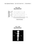 WAVEFRONT MEASURING APPARATUS, WAVEFRONT MEASURING METHOD, AND     COMPUTER-READABLE MEDIUM STORING PROGRAM diagram and image