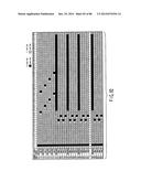 INFORMATION STORAGE MEDIUM, REPRODUCING METHOD, AND RECORDING METHOD diagram and image