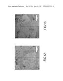 SYSTEM AND METHOD FOR DETECTING NUMBER OF LAYERS OF A FEW-LAYER GRAPHENE diagram and image