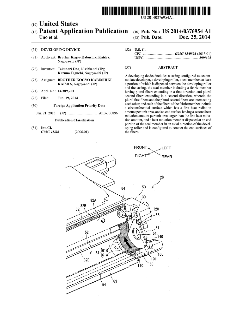 Developing Device - diagram, schematic, and image 01