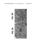 FORMATION OF P-TYPE FILLED SKUTTERUDITE BY BALL-MILLING AND     THERMO-MECHANICAL PROCESSING diagram and image