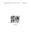 RUTHENIUM NANOPARTICLES WITH ESSENTIALLY FACE-CENTERED CUBIC STRUCTURE AND     METHOD FOR PRODUCING THE SAME diagram and image
